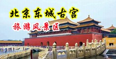 女人湮叫扣逼视频中国北京-东城古宫旅游风景区